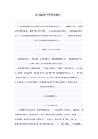 松树盆景的养护管理要点
