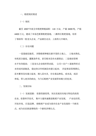 枇杷产业发展规划