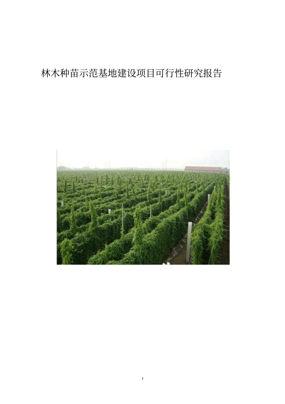 林木种苗示范基地建设项目可行性研究报告【顶级版】_第1页