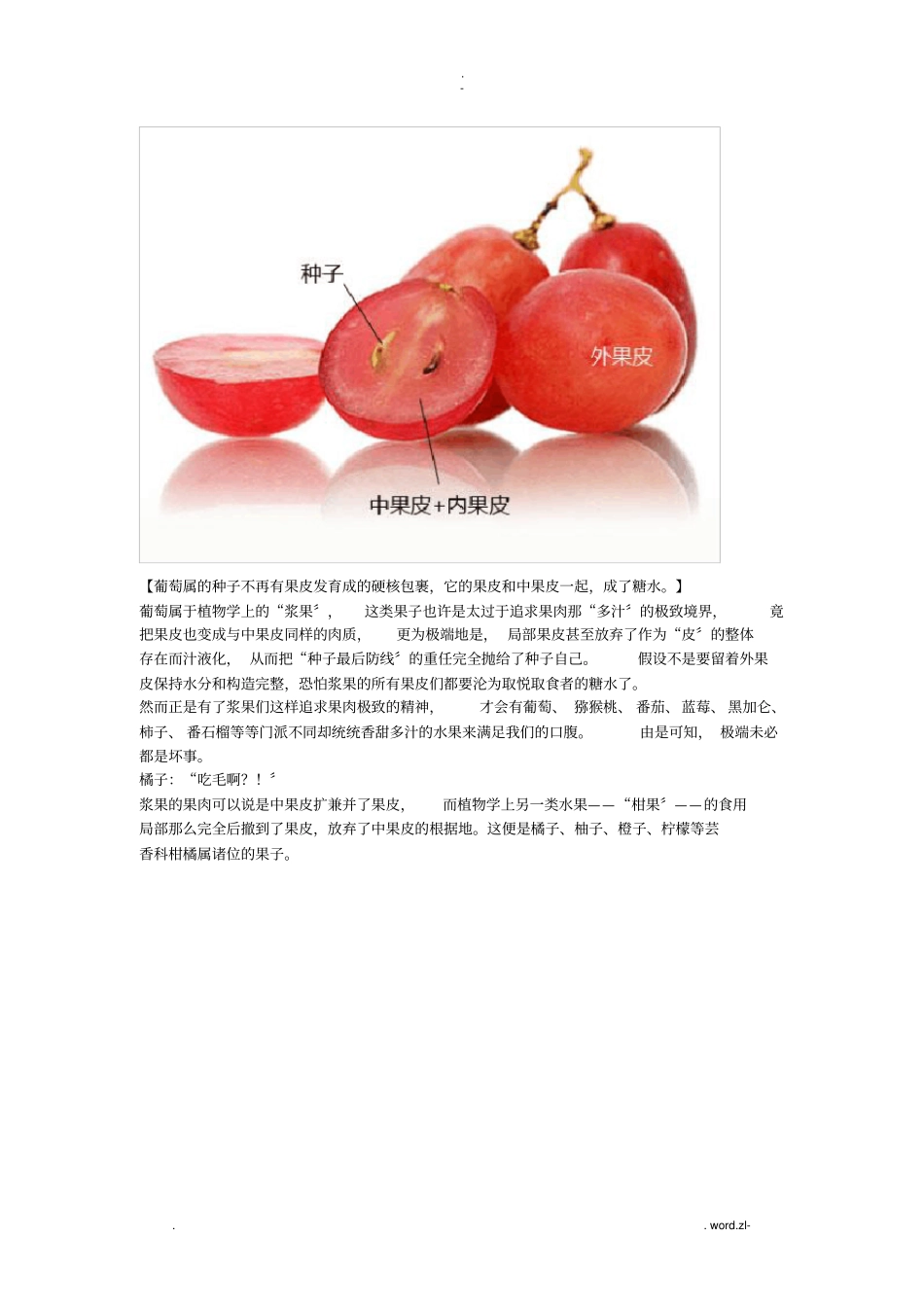 果实食用的部位_第2页