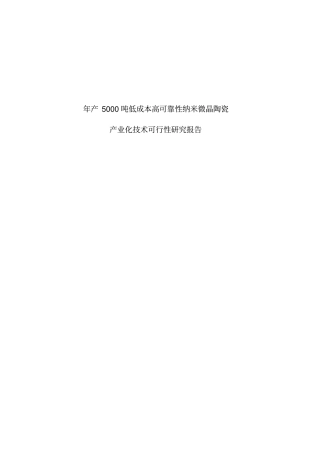 某产业化技术可行性研究报告