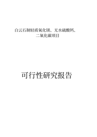 某企业白云石制轻质氧化镁无水硫酸钙二氧化碳项目可行性研究报告