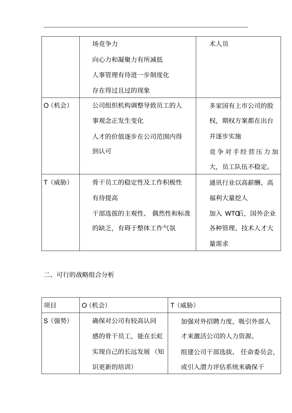 某公司人力资源战略_第2页