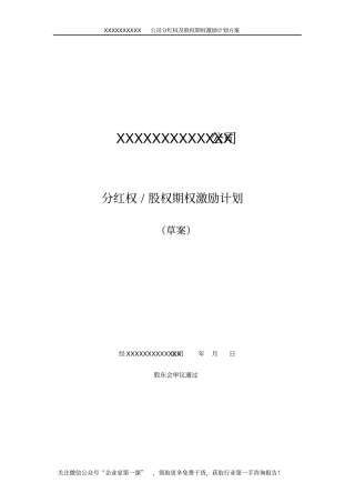 某公司分红权及股权期权激励计划方案