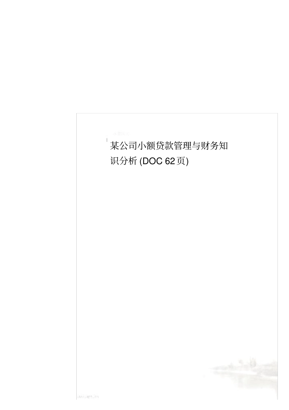 某公司小额贷款管理与财务知识分析62_第1页