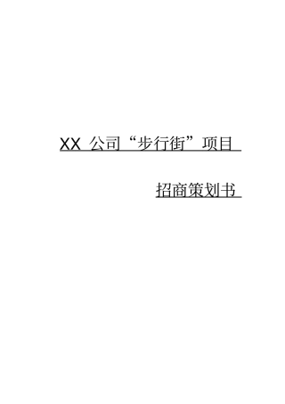 某公司步行街项目招商策划书