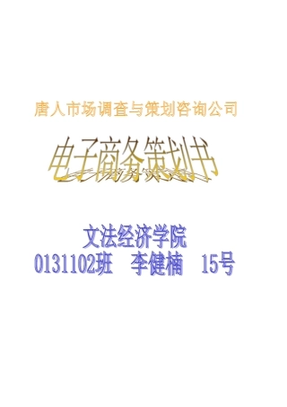 某公司电子商务策划书