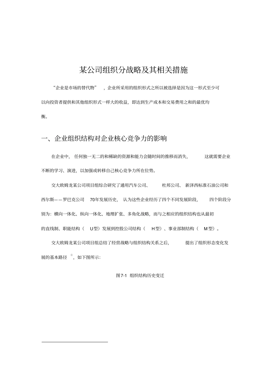 某公司组织战略及其相关措施_第1页