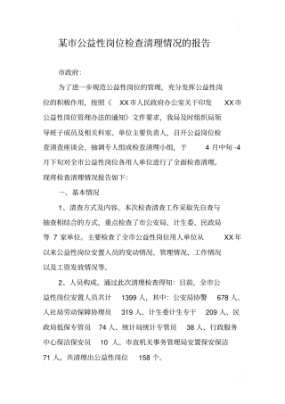 某公益性岗位检查清理情况的报告