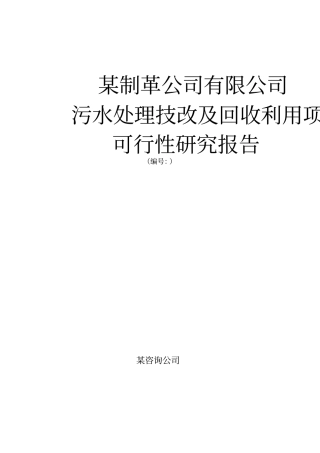 某制革公司有限公司污水处理技改及回收利用项目可行性研究报告