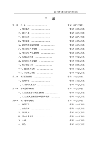 某印染有限公司可行性研究报告
