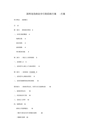 某商业步行街招商方案-方案