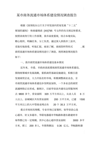 某商务流通场体系建设情况调查报告