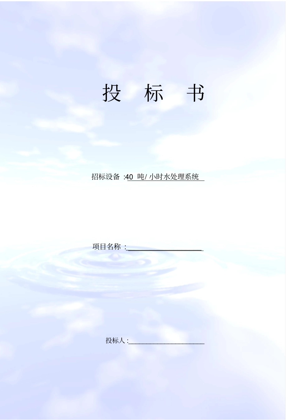 某啤酒厂水处理投标书_第1页