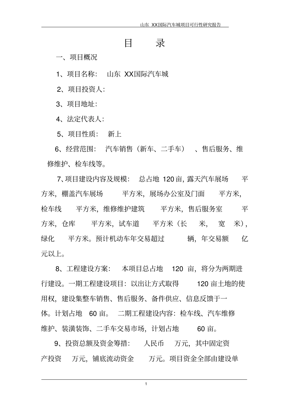 某国际汽车城项目可行性研究报告_第1页