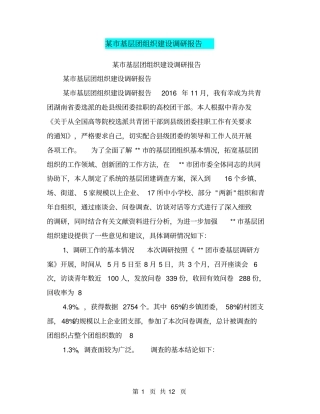 某基层团组织建设调研报告【可编辑版】