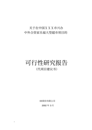 某大型超项目的可行性研究报告