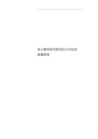 某小额贷款有限责任公司信息披露制度