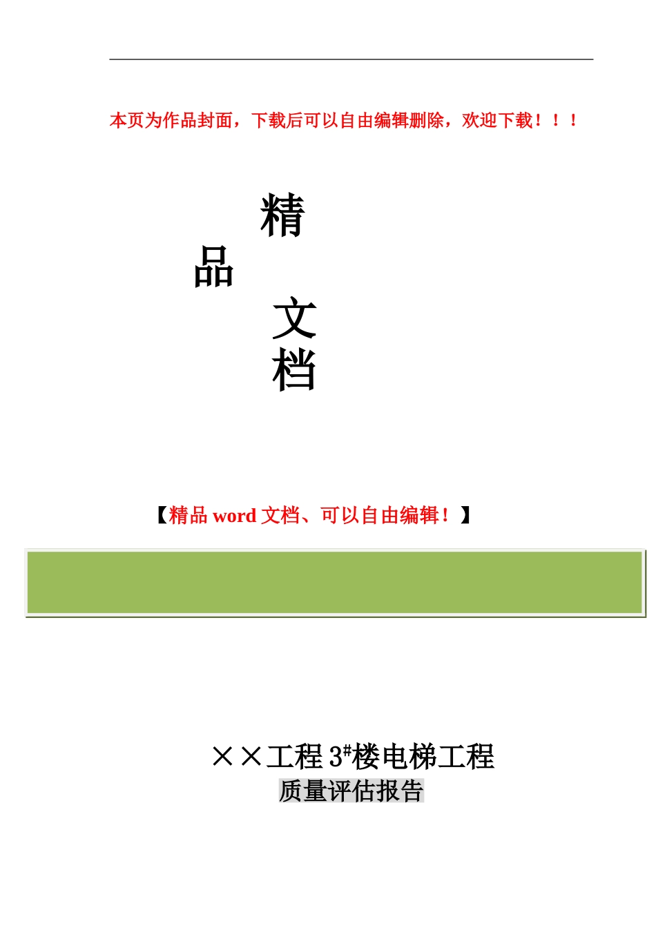 电梯工程竣工评估报告_第1页