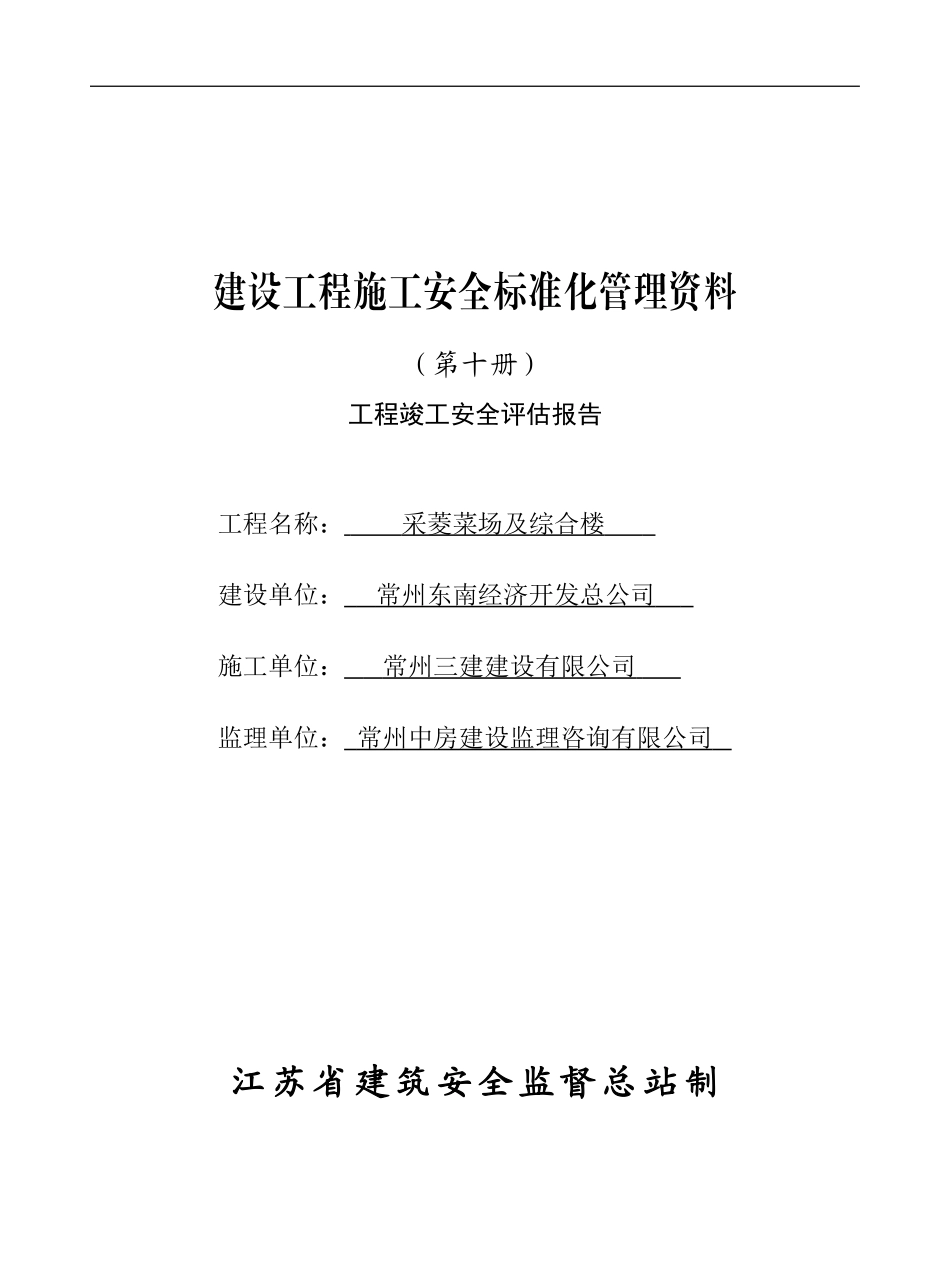第十册：工程竣工安全评估报告_第1页