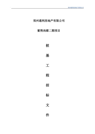 紫荆尚都项目桩基工程招标文件