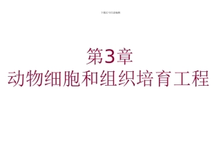 细胞工程-动物组织和细胞培养