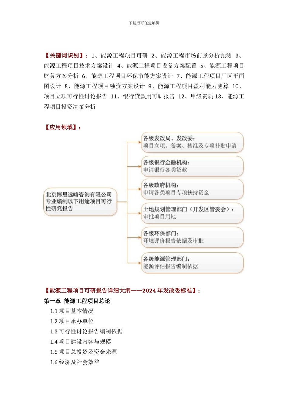 能源工程项目可行性研究报告方案_第2页