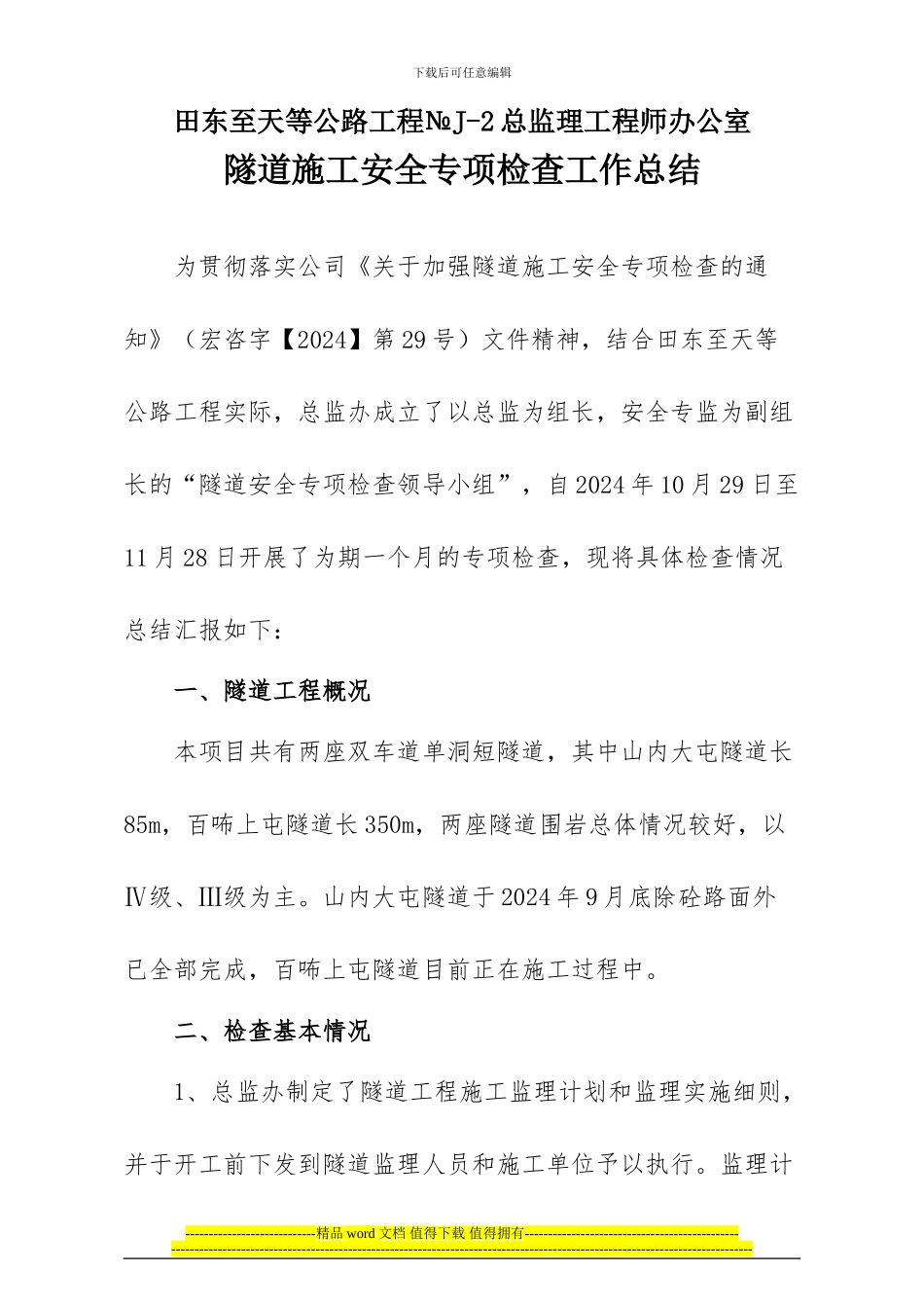 隧道施工安全专项检查工作总结_第2页