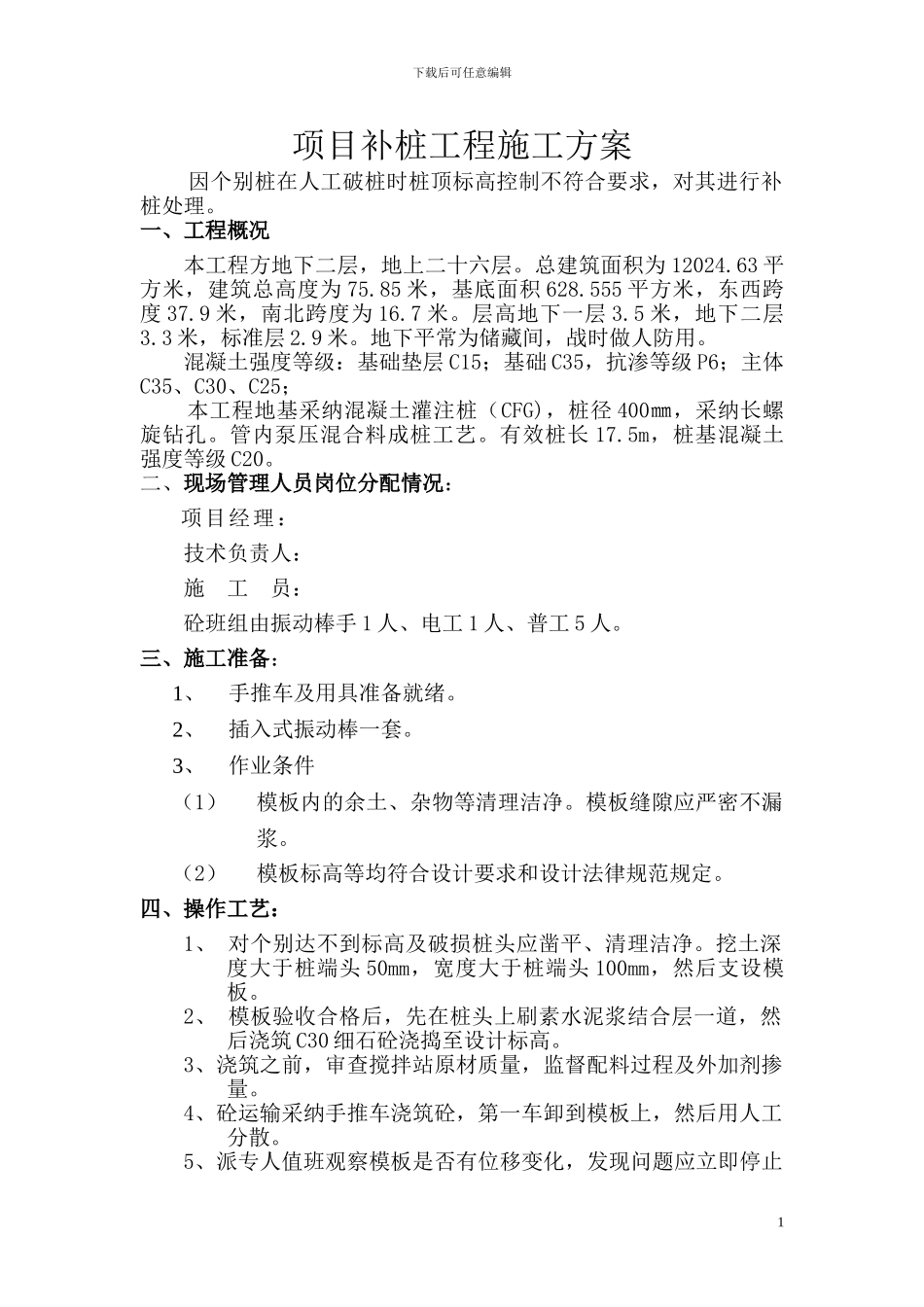 项目补桩工程施工方案_第1页