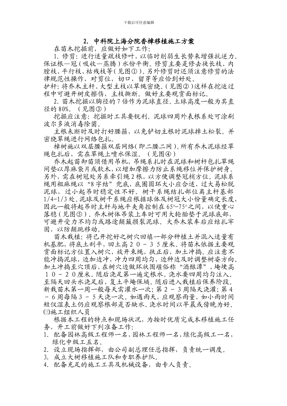 香樟栽植施工方案_第1页