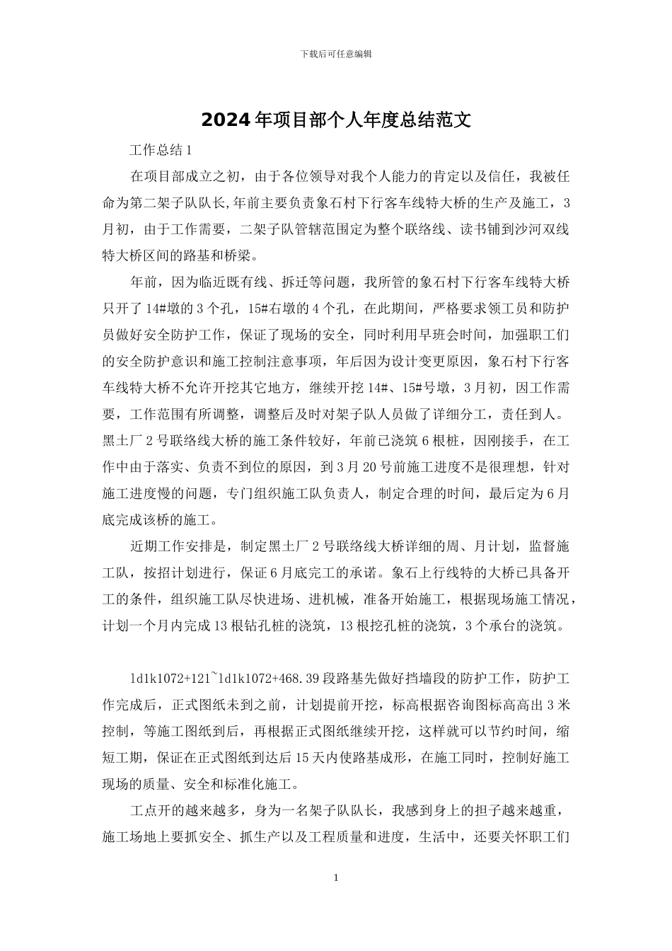 2024年项目部个人年度总结范文_第1页