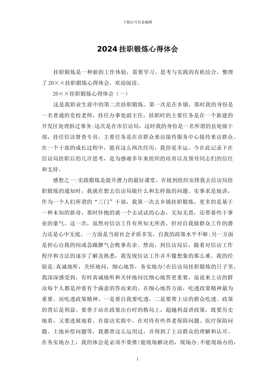 2024挂职锻炼心得体会-1_第1页