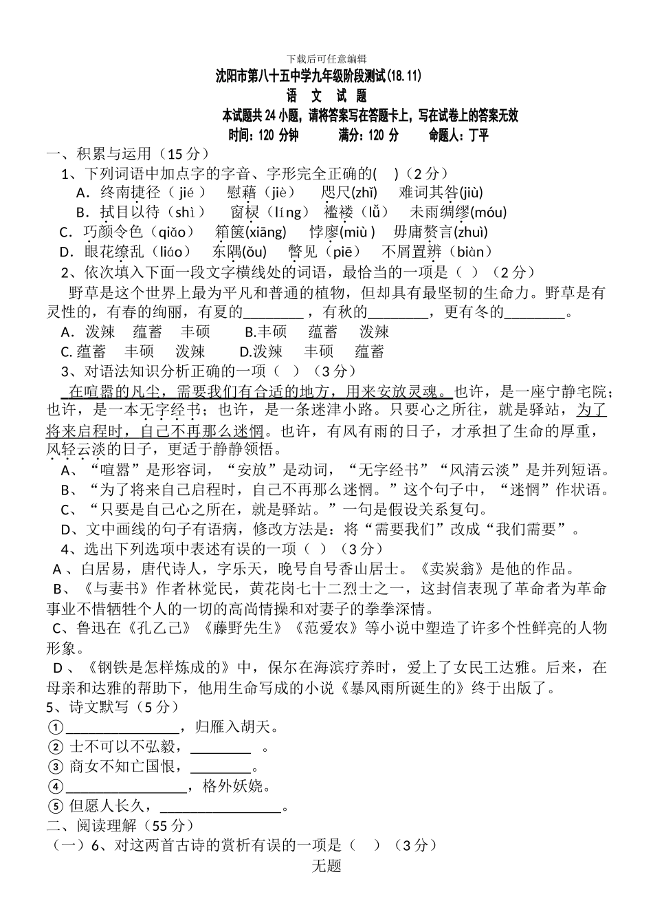 2024沈阳中考语文模拟试卷_第1页