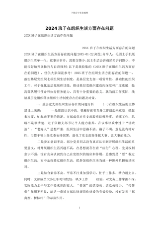 2024班子在组织生活方面存在问题