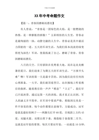 XX年中考命题作文