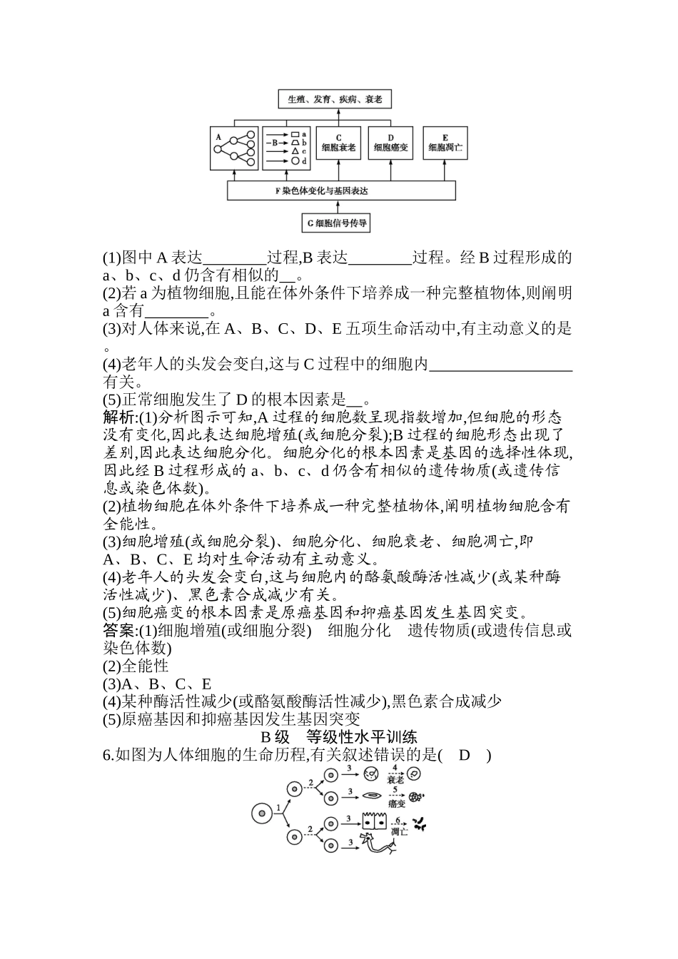 2025年细胞的衰老和凋亡细胞的癌变习题_第2页