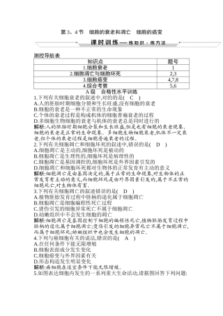 2025年细胞的衰老和凋亡细胞的癌变习题