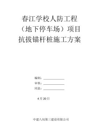 2025年抗拔锚桩施工方案