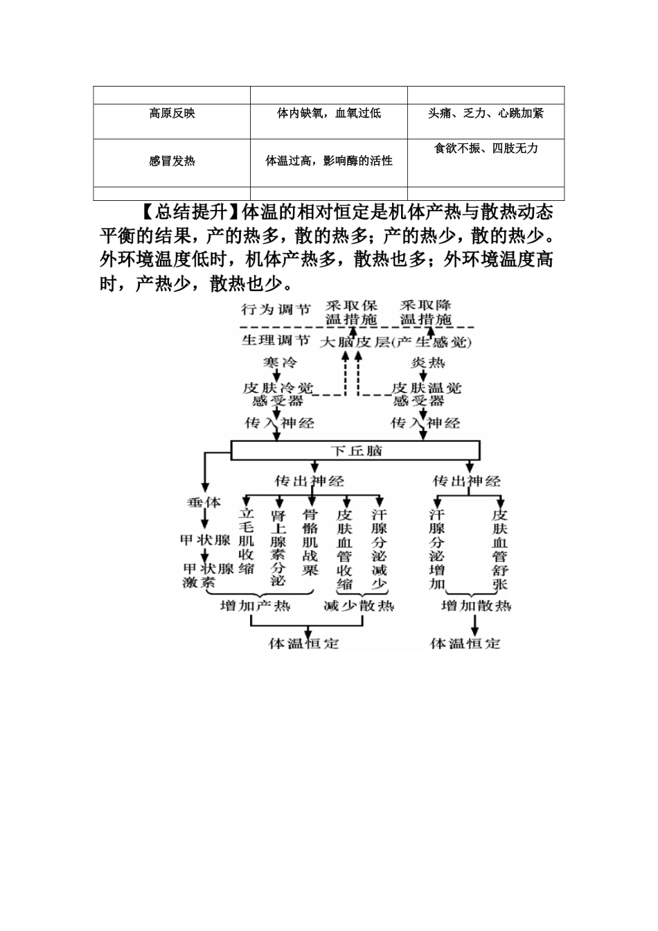 2025年体温水盐血糖平衡调节_第3页