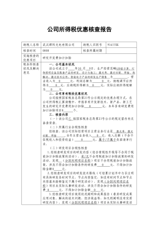 2025年研究开发费加计扣除核查报告模板