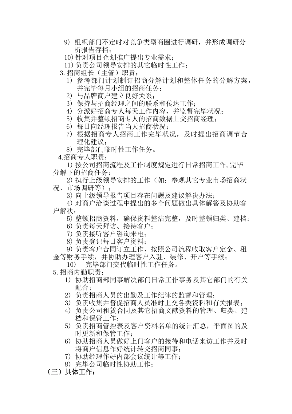 2025年招商方案招商团队及激励手段_第2页