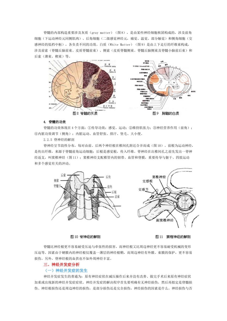 2025年胸椎管狭窄症手术治疗神经并发症分析_第3页