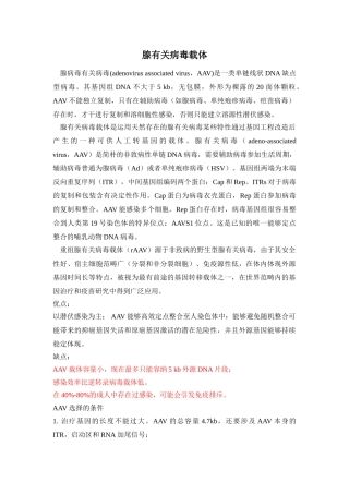 2025年腺相关病毒载体