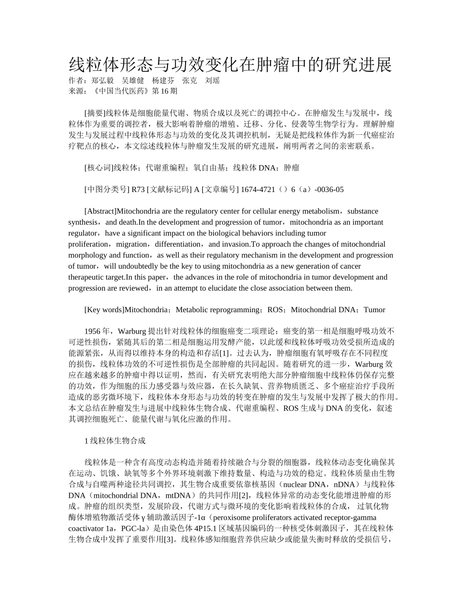 2025年线粒体形态与功能改变在肿瘤中的研究进展_第1页