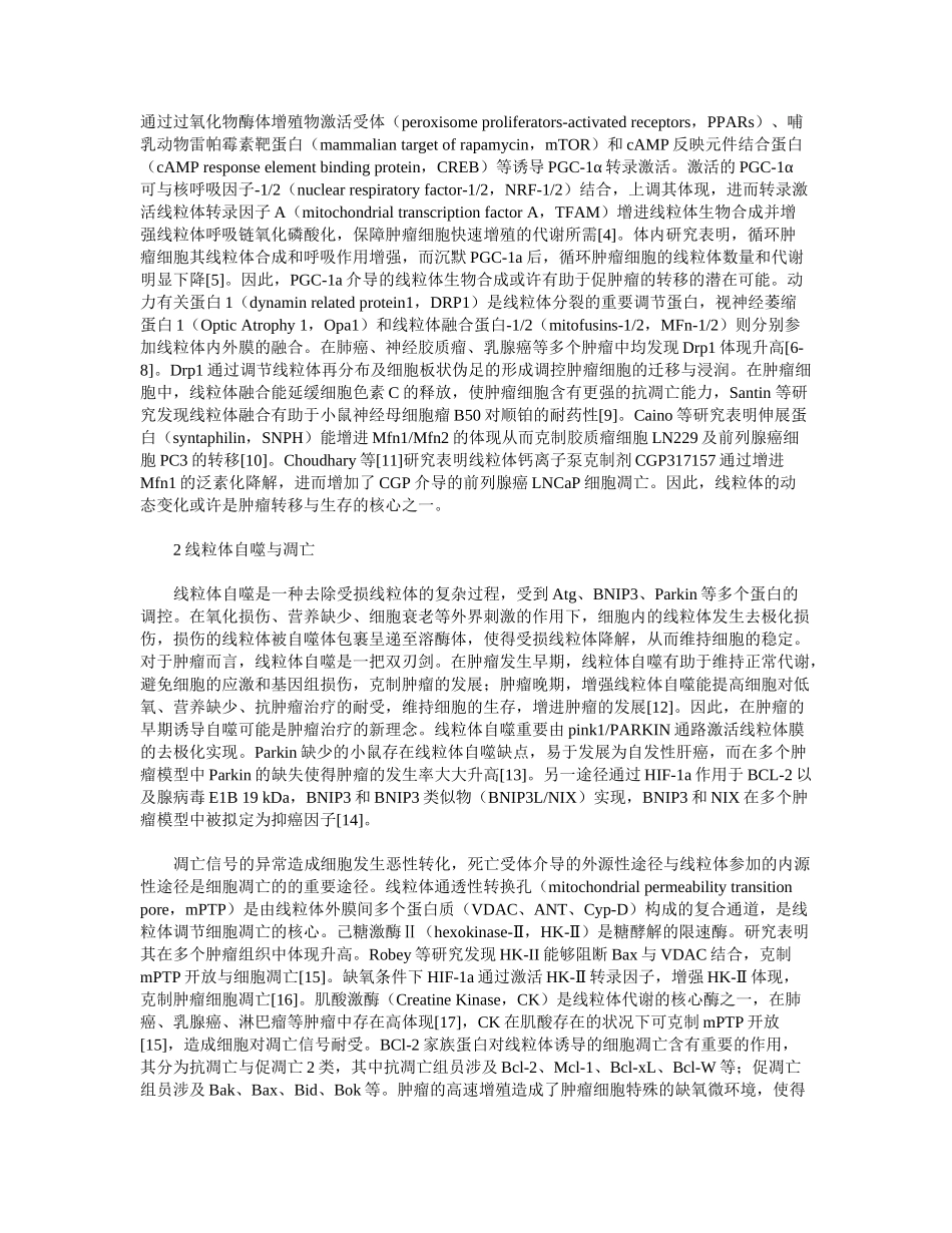 2025年线粒体形态与功能改变在肿瘤中的研究进展_第2页
