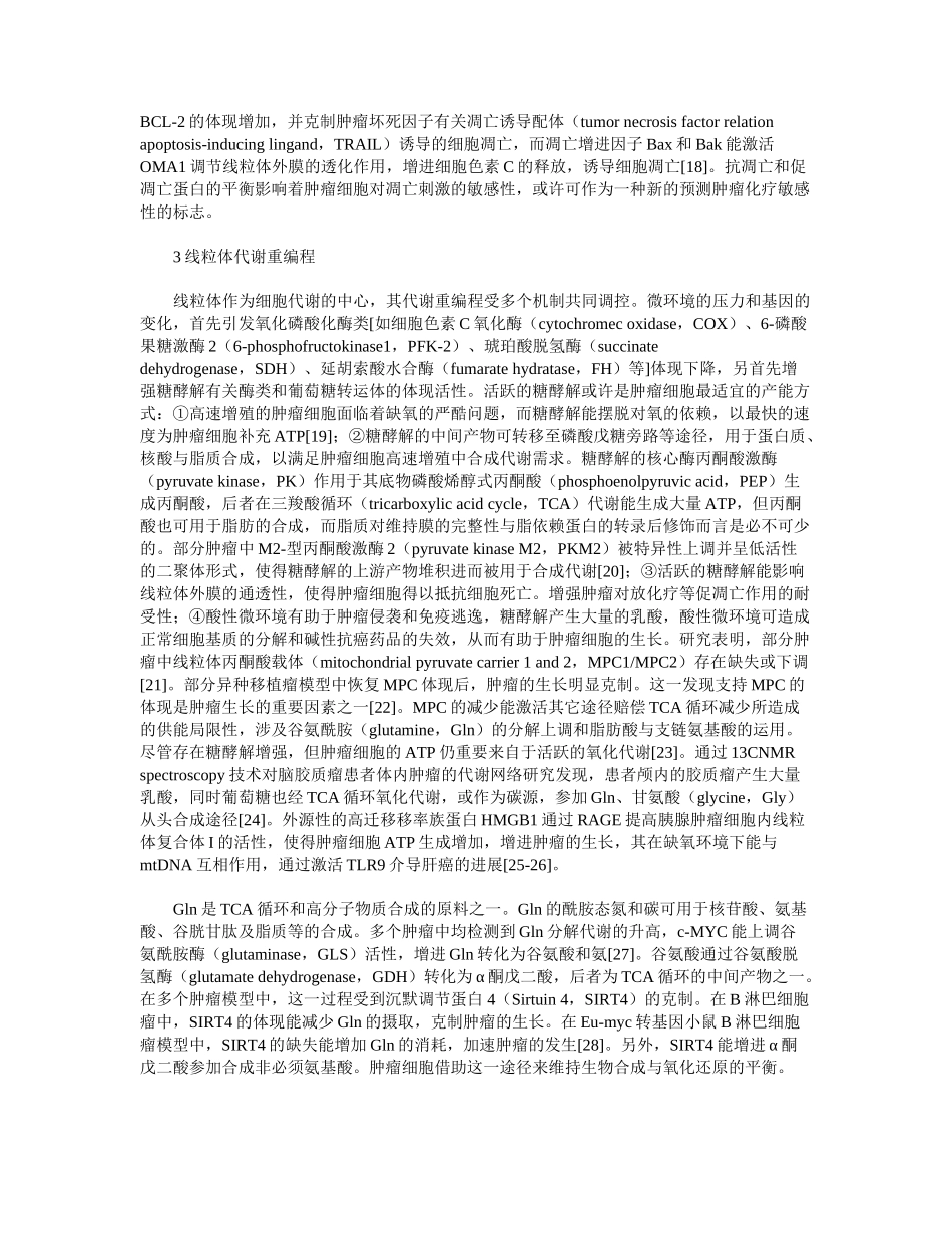 2025年线粒体形态与功能改变在肿瘤中的研究进展_第3页