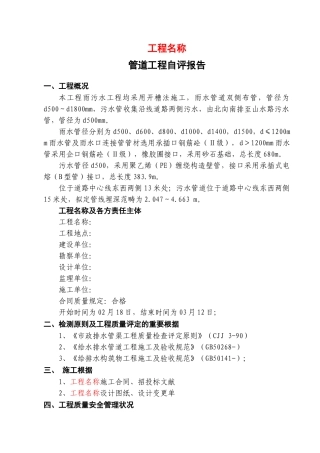 2025年管道自评报告