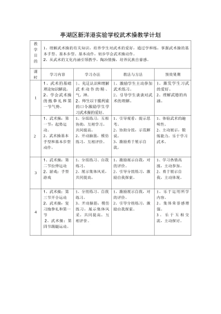 2025年武术操教学计划