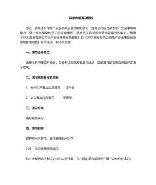 2025年应急预案演练规划
