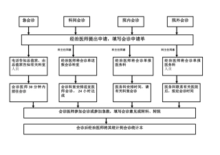 2025年会诊流程图
